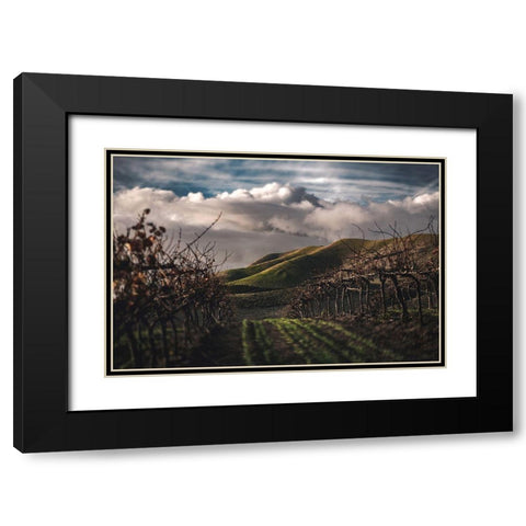 Dark Vineyards Black Modern Wood Framed Art Print with Double Matting by Mossholder, Tim