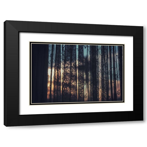 Lace Curtains Black Modern Wood Framed Art Print with Double Matting by Mossholder, Tim