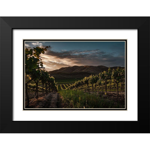 Vinyards Black Modern Wood Framed Art Print with Double Matting by Mossholder, Tim