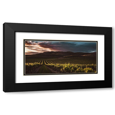 Vineyards Black Modern Wood Framed Art Print with Double Matting by Mossholder, Tim