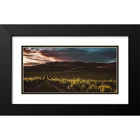 Vineyards Black Modern Wood Framed Art Print with Double Matting by Mossholder, Tim