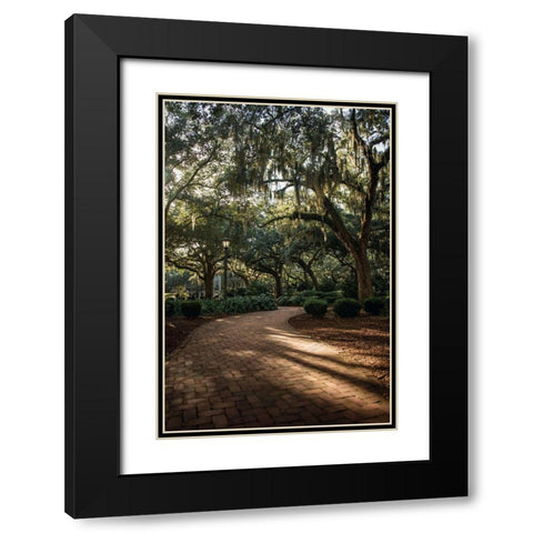 Oaks in Savannah Black Modern Wood Framed Art Print with Double Matting by Mossholder, Tim
