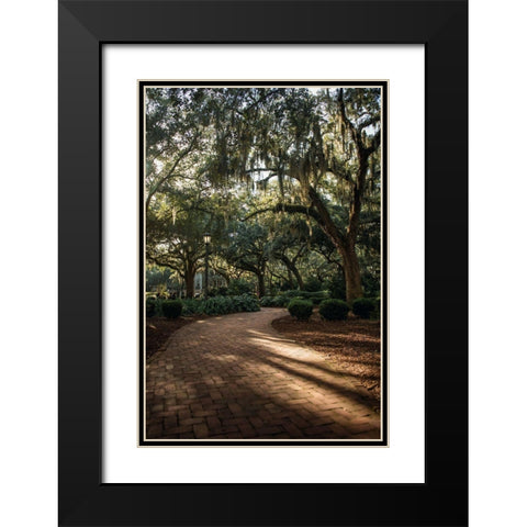 Oaks in Savannah Black Modern Wood Framed Art Print with Double Matting by Mossholder, Tim