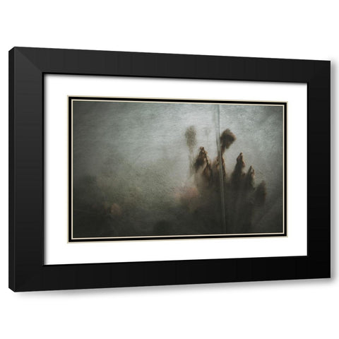Protected Plants Black Modern Wood Framed Art Print with Double Matting by Mossholder, Tim
