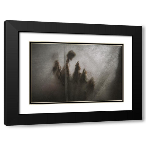 Protected Plants Black Modern Wood Framed Art Print with Double Matting by Mossholder, Tim