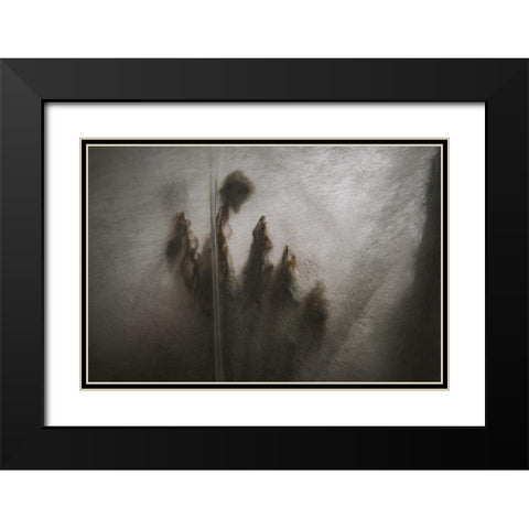 Protected Plants Black Modern Wood Framed Art Print with Double Matting by Mossholder, Tim