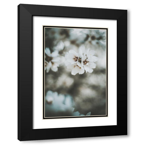 Almond Blossoms Black Modern Wood Framed Art Print with Double Matting by Mossholder, Tim