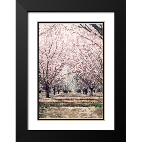 Almond Orchard Black Modern Wood Framed Art Print with Double Matting by Mossholder, Tim