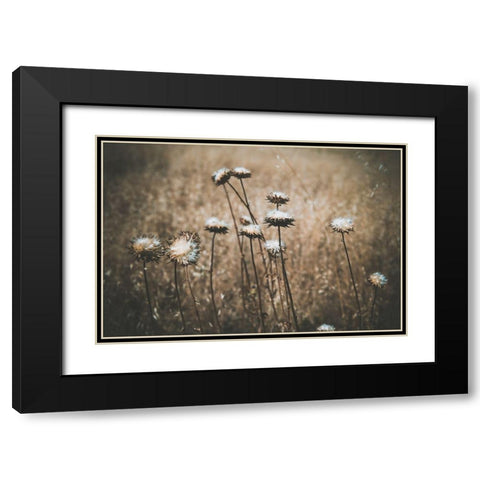Weedy Black Modern Wood Framed Art Print with Double Matting by Mossholder, Tim