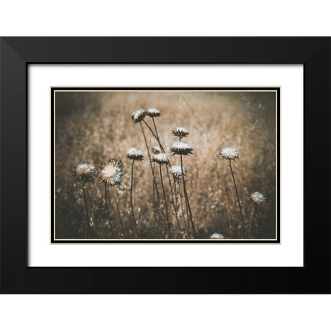 Weedy Black Modern Wood Framed Art Print with Double Matting by Mossholder, Tim