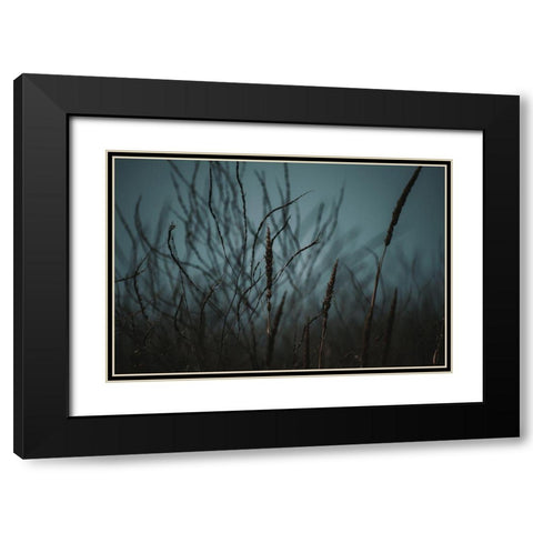 Dark Nature Black Modern Wood Framed Art Print with Double Matting by Mossholder, Tim