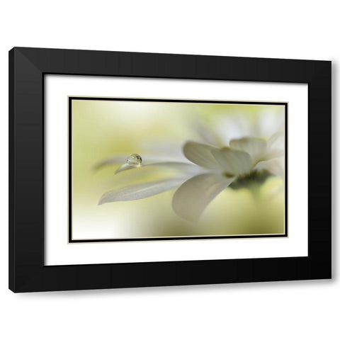 Dreams Of Heaven.. Black Modern Wood Framed Art Print with Double Matting by Nan, Juliana
