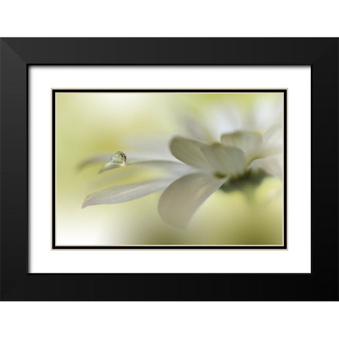 Dreams Of Heaven.. Black Modern Wood Framed Art Print with Double Matting by Nan, Juliana