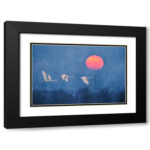Foggy Sunrise Black Modern Wood Framed Art Print with Double Matting by Li, Rob