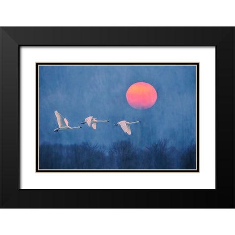 Foggy Sunrise Black Modern Wood Framed Art Print with Double Matting by Li, Rob
