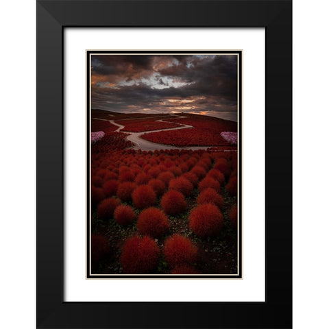 Kochia Road Black Modern Wood Framed Art Print with Double Matting by Gmehlin, Samuel