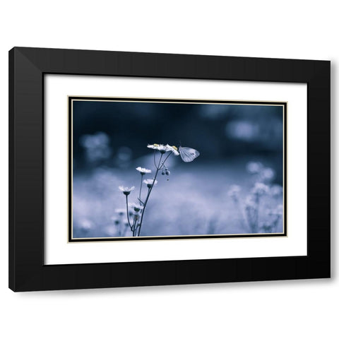 Small Butterfly Black Modern Wood Framed Art Print with Double Matting by Deng, Ivy