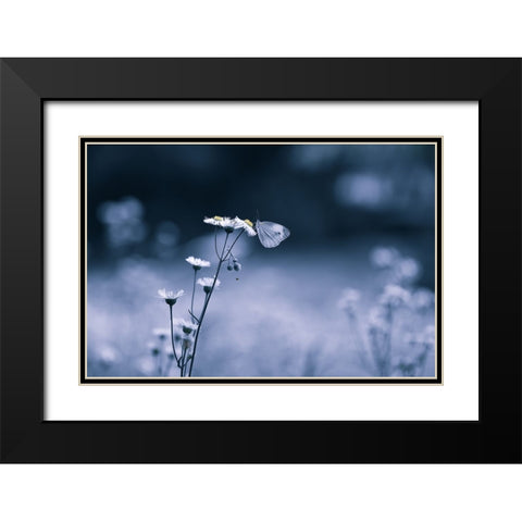 Small Butterfly Black Modern Wood Framed Art Print with Double Matting by Deng, Ivy