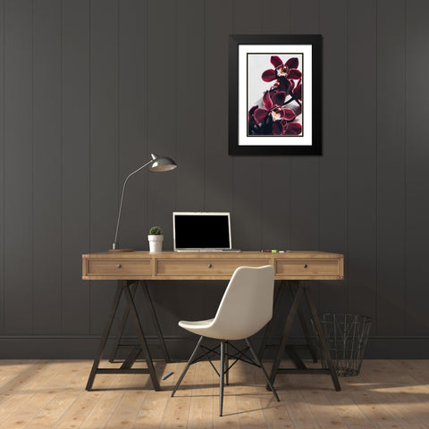 Velvet Orchid Black Modern Wood Framed Art Print with Double Matting by Sawall, Anastasia