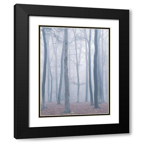 trees in fog Black Modern Wood Framed Art Print with Double Matting by Mies, Maurice