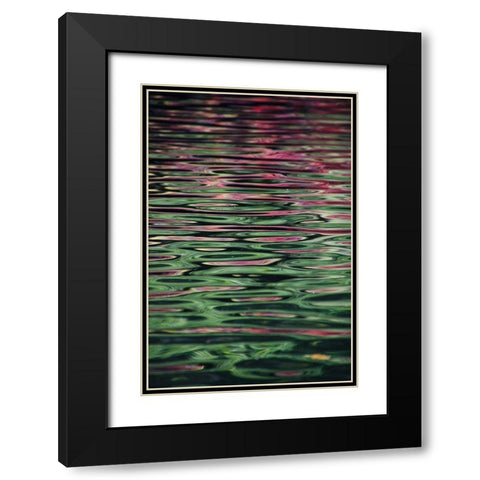 Flower reflection Black Modern Wood Framed Art Print with Double Matting by Alcantara, Miguel