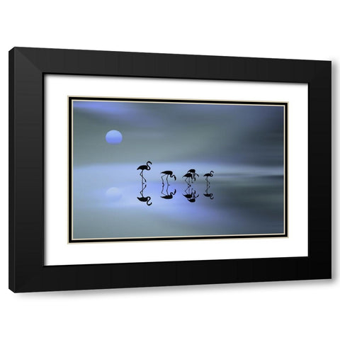 group of flamingos Black Modern Wood Framed Art Print with Double Matting by Natalia