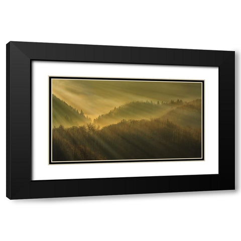 Rays of morning Black Modern Wood Framed Art Print with Double Matting by Bor