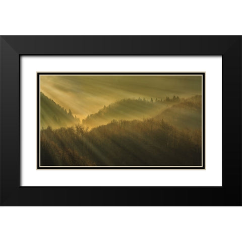 Rays of morning Black Modern Wood Framed Art Print with Double Matting by Bor