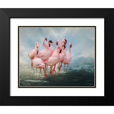 Lesser Flamingo Summit Black Modern Wood Framed Art Print with Double Matting by Wisniowska, Krystina
