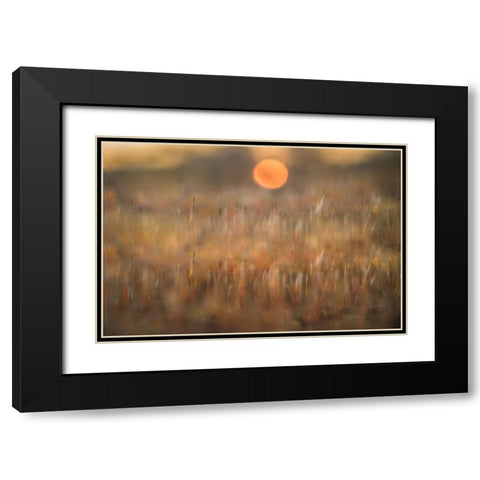 sunrise among the rough hair moss Black Modern Wood Framed Art Print with Double Matting by Bouhuijzen, Ina