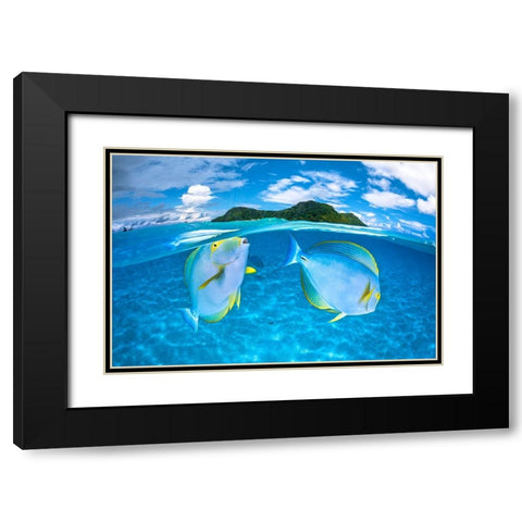 Dussumiers surgeonfish Black Modern Wood Framed Art Print with Double Matting by Gabriel, Barathieu