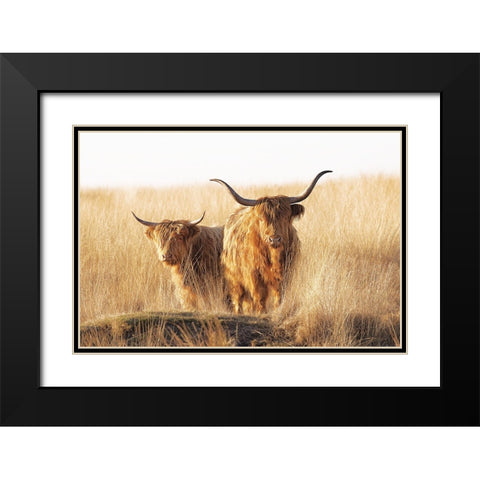 Young and old Highlander Black Modern Wood Framed Art Print with Double Matting by Van Den, Jaap