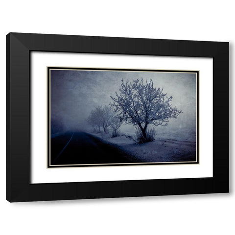 At night foggy Black Modern Wood Framed Art Print with Double Matting by Kazamil, Farid
