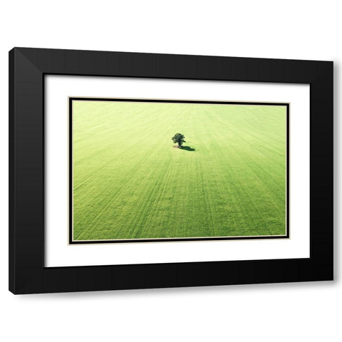 Lonely tree Black Modern Wood Framed Art Print with Double Matting by Cederberg, Marcus