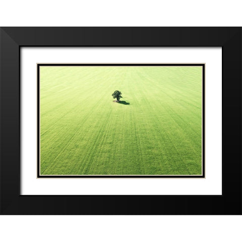 Lonely tree Black Modern Wood Framed Art Print with Double Matting by Cederberg, Marcus