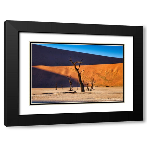 Deadvlei Black Modern Wood Framed Art Print with Double Matting by Zheng, Michael