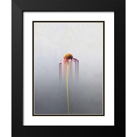 Single flower Black Modern Wood Framed Art Print with Double Matting by Cederberg, Marcus