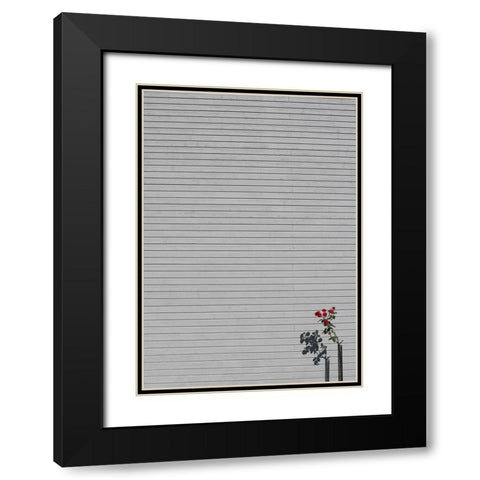 SIngle rose Black Modern Wood Framed Art Print with Double Matting by Cederberg, Marcus