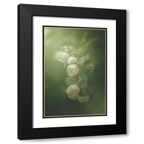 Jasmine Black Modern Wood Framed Art Print with Double Matting by Zvinakeviciute, Kristina