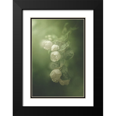 Jasmine Black Modern Wood Framed Art Print with Double Matting by Zvinakeviciute, Kristina