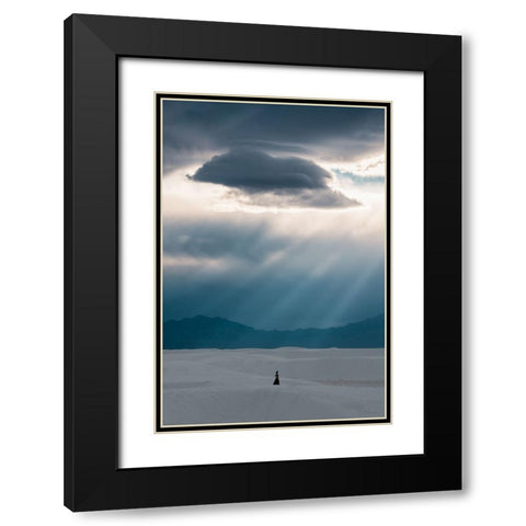 Umbrella Black Modern Wood Framed Art Print with Double Matting by Zhang, Ling