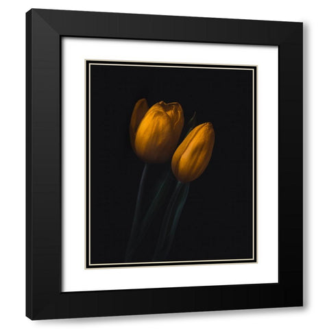 Golden Tulip Black Modern Wood Framed Art Print with Double Matting by Bos, Wicher