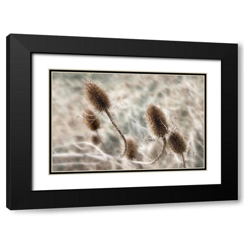 Do not touch me... Black Modern Wood Framed Art Print with Double Matting by Claes, Gilbert