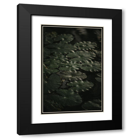 Botanical Series - Water Lily Leaves 1/2 Black Modern Wood Framed Art Print with Double Matting by Elijas, Eva