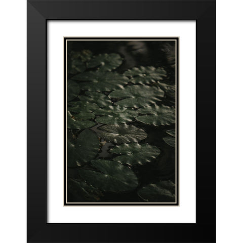 Botanical Series - Water Lily Leaves 1/2 Black Modern Wood Framed Art Print with Double Matting by Elijas, Eva