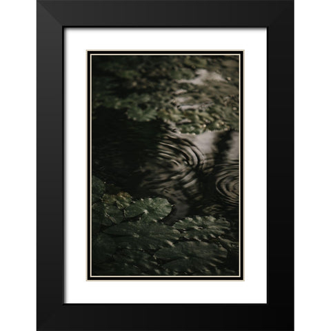 Botanical Series - Water Lily Leaves 2/2 Black Modern Wood Framed Art Print with Double Matting by Elijas, Eva