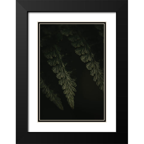 Botanical Series - Fern 1/2 Black Modern Wood Framed Art Print with Double Matting by Elijas, Eva