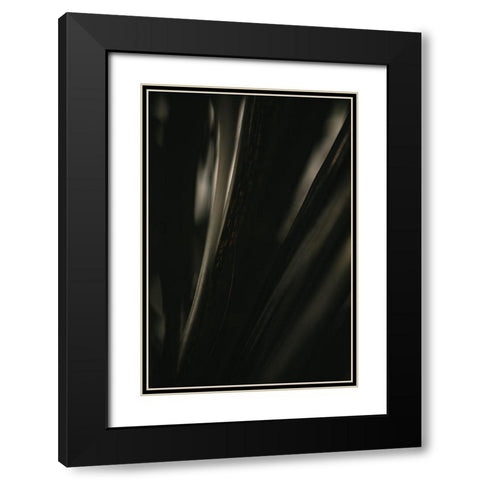 Botanical Series - Palm Leaf Black Modern Wood Framed Art Print with Double Matting by Elijas, Eva