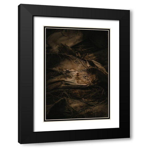 Botanical Series - Palm Bark Black Modern Wood Framed Art Print with Double Matting by Elijas, Eva