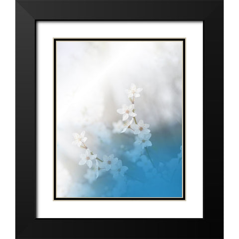 Secret Melody.. Black Modern Wood Framed Art Print with Double Matting by Nan, Juliana